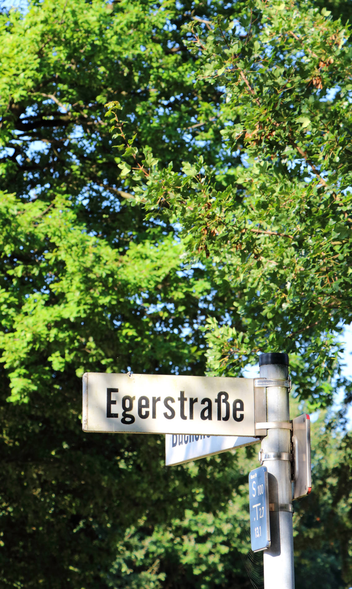 Galeriebild